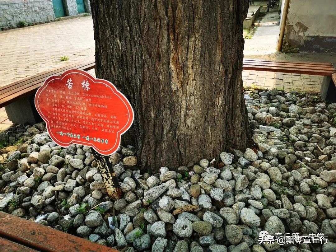 章丘古老的中学在哪里,章丘第一中学搬迁吗