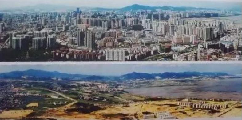 社保基金办公厅主任佟达宁,社保中心佟达宁