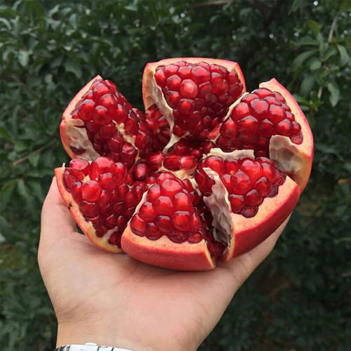 中秋出游带什么食物,中秋3天假期