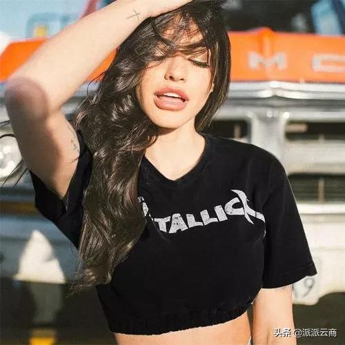 独立站网红营销注意事项,网红运营推广模式