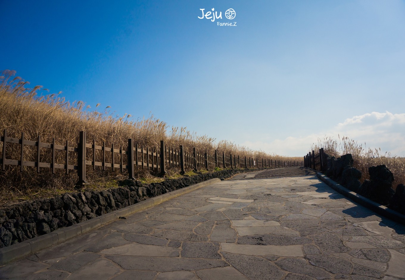 #嗨buy新罗#冬日，济州岛！想大声说遇见你有多幸运