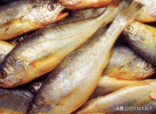 住在北京西城区都是什么人,住在胡同里的北京人的特点是什么