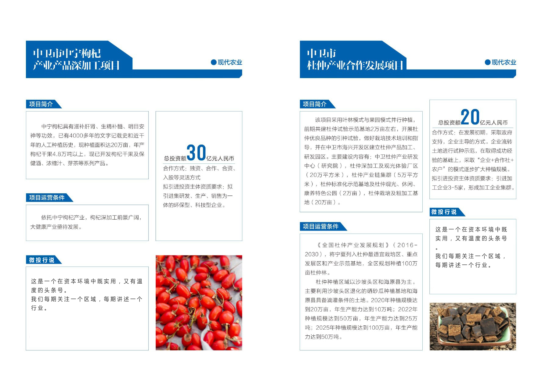 优选宁夏23个农业投资项目丨墨瑞鳕鱼、种子、巴士奶、牡丹、冷蔬