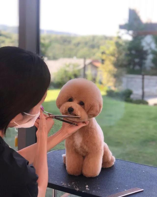 tony老师高阶换头术,90后tony老师换头术