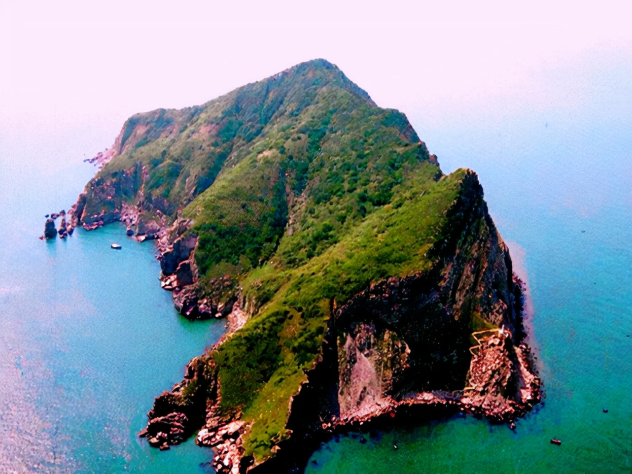 大连蛇岛20000条毒蛇吃什么,中国大连蛇岛蛇是怎么形成的