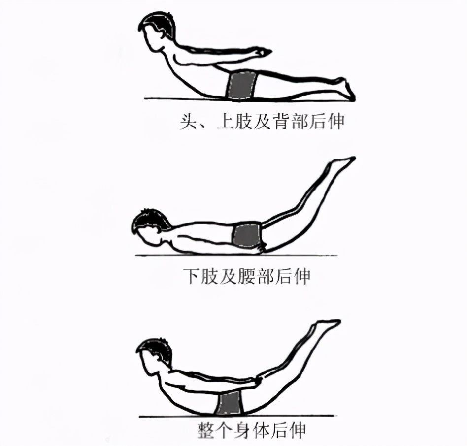 漫画腰挑战明星,漫画腰挑战后续图