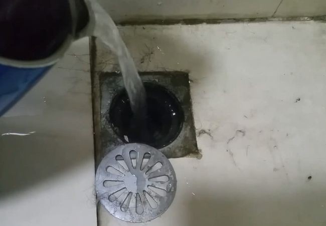 卫生间里黑色细长的虫子是什么虫,厨房卫生间有白色虫子是什么原因