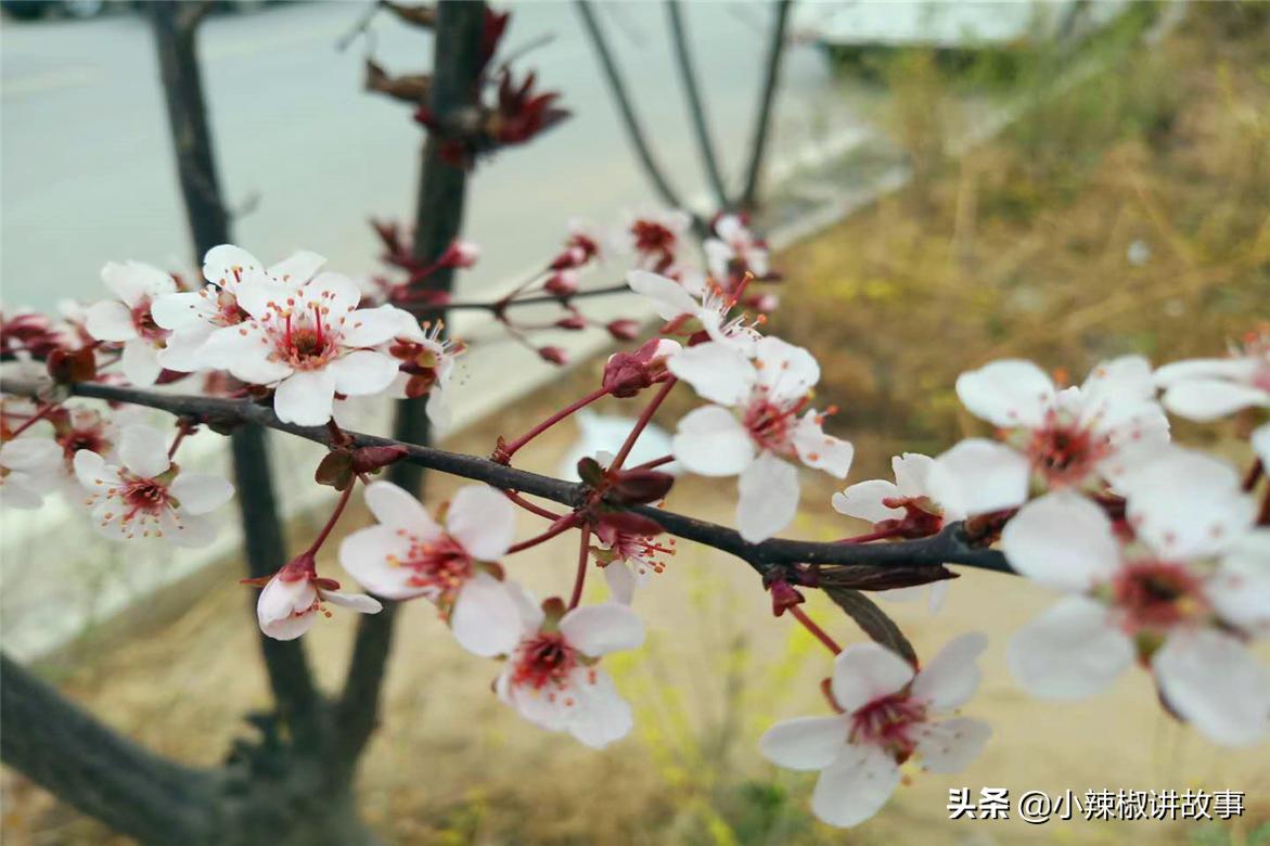 故事：朱迪消失不见，史莱姆主动帮忙，赫本很感动