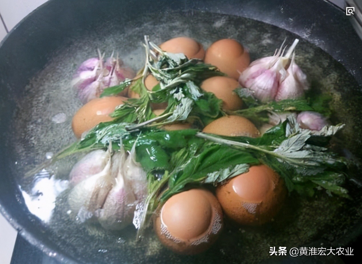 端午节吃蒜的习俗,端午吃大蒜是什么意思