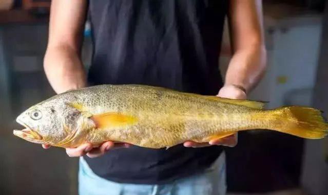 哪种海鲜的味道最鲜美,世界上最鲜美的海鲜