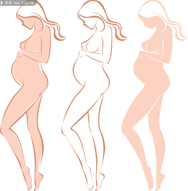 母亲孕育生命的过程,孕育生命的美文