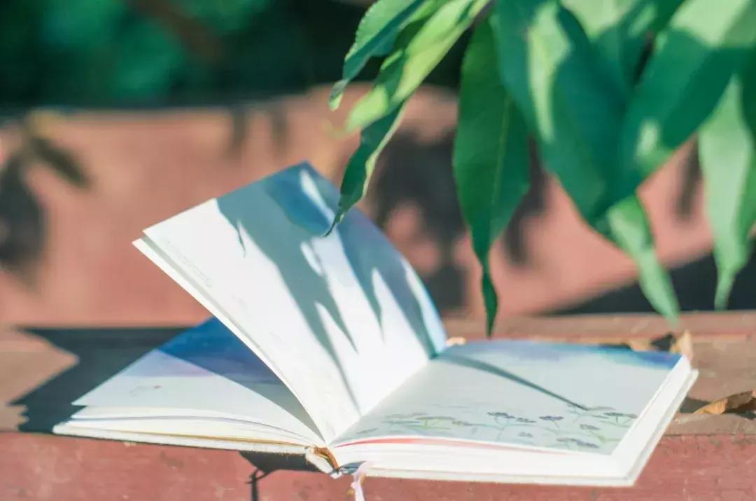 天津中小学新生注意！开学后这三科将全部启用新教材