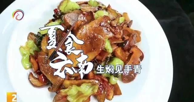 一朵野生菌的视频,野生菌的独特之处
