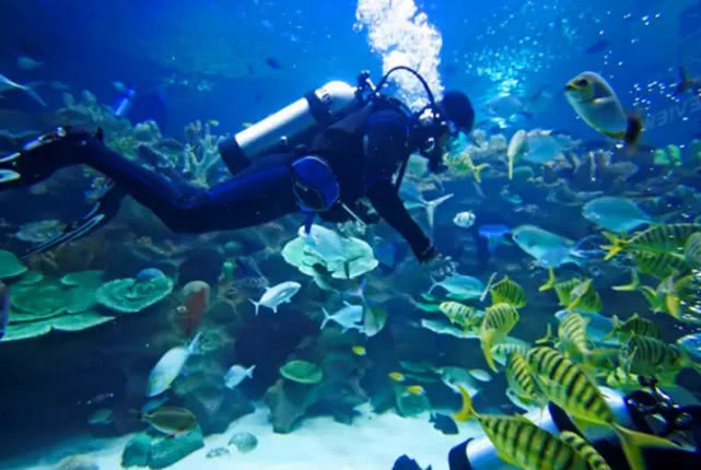 你家大学有哪些课程,有趣的大学课程有哪些