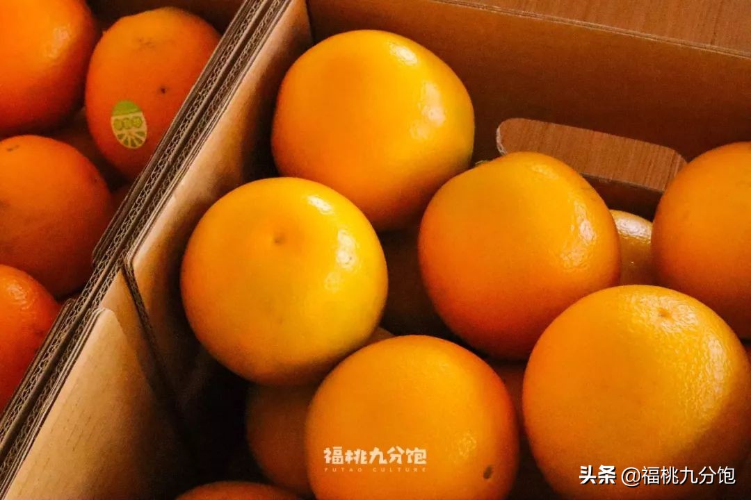 市场上卖的褚橙是真的吗,怎么区分真假褚橙2018