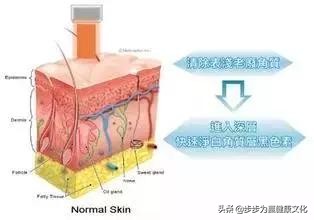 白瓷娃娃和黑脸娃娃,黑瓷娃娃和白娃娃有什么区别