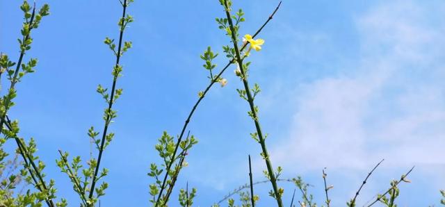 商洛一座美丽的城市,商洛最美的小城市