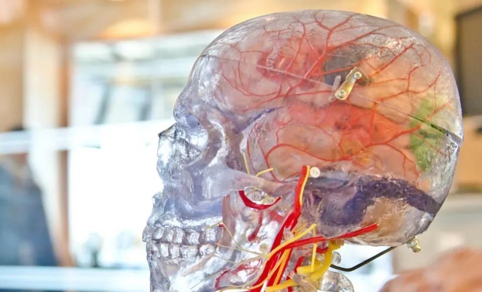 硅基芯片计算机,人工智能硅基芯片