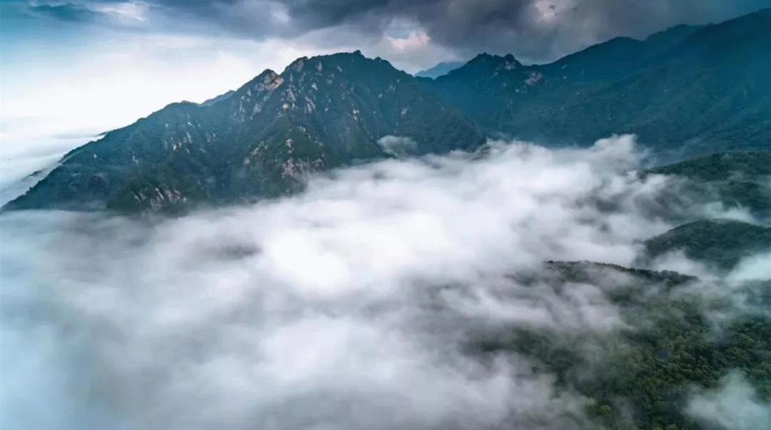 古城西安年味浓八方来客齐拜年,春节西安各景区年味十足