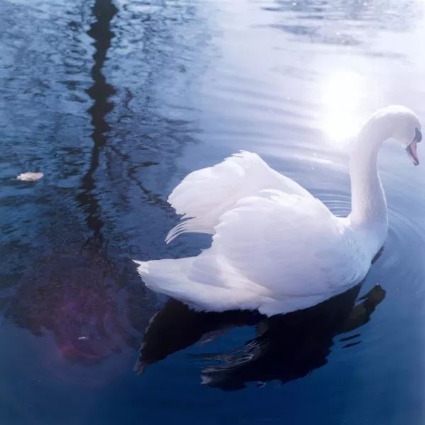 日本神级摄影师镜头下的夏天,日本拍日落的摄影师