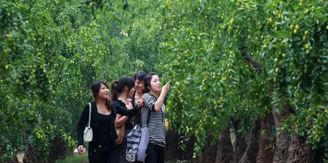 向世界介绍河南,向别人介绍郑州