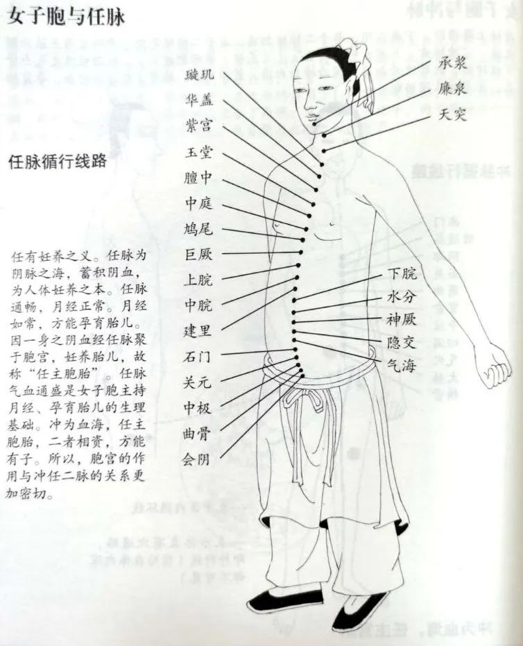 奇恒之腑的解释,奇恒之腑是指哪