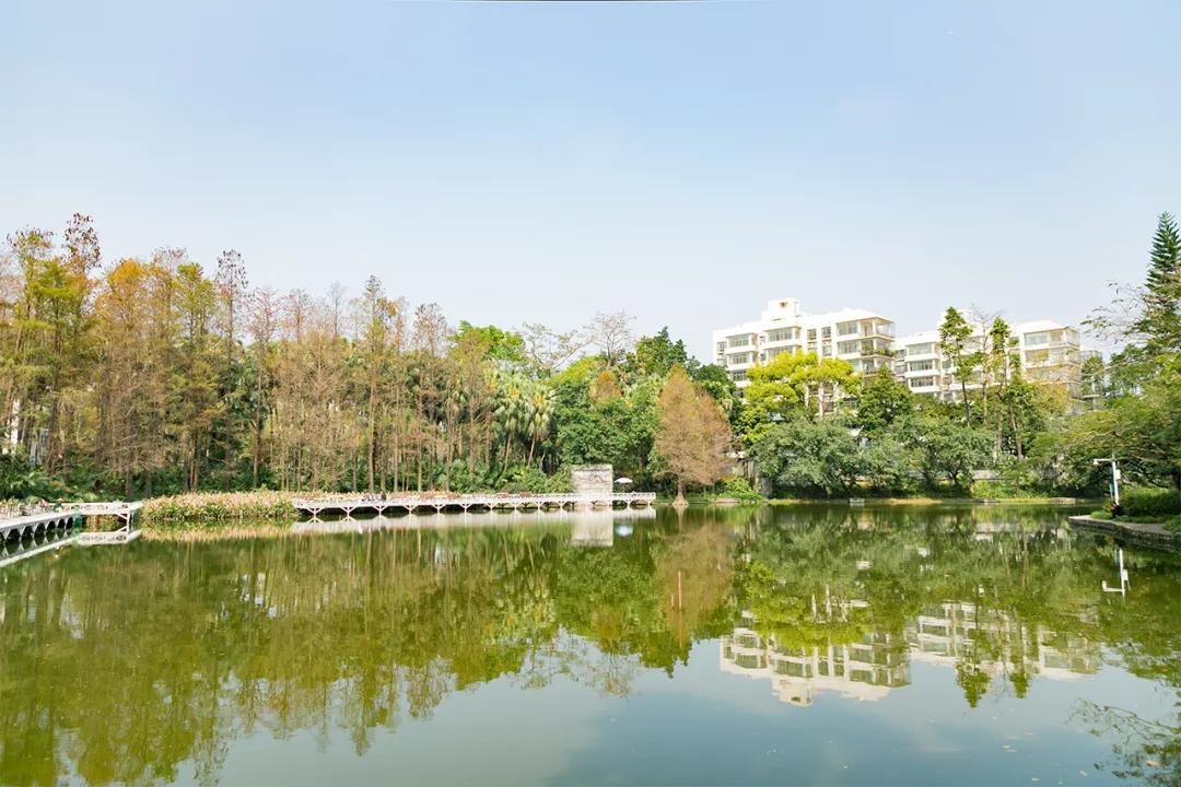 重庆轨道3号线,贵阳地铁3号线