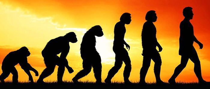 鼠年说“鼠”，袋鼠的小秘密你知道吗？