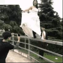 茅五剑不接地气的酒,茅五剑中端酒