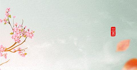 日上免税店必买清单,日上旅购必买