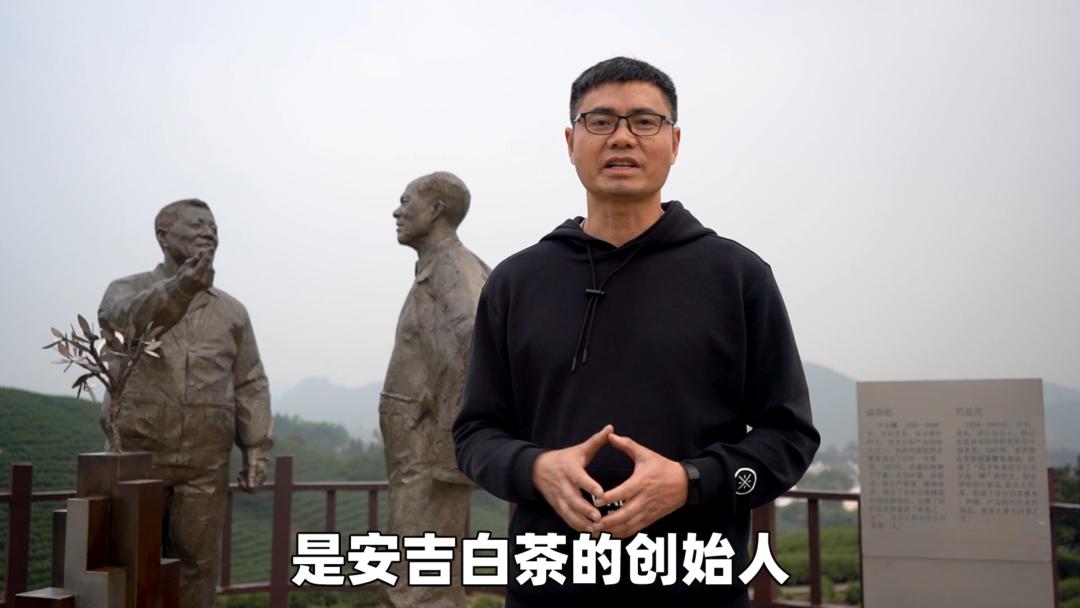 安吉白茶精选名茶的价格,安吉白茶历史视频