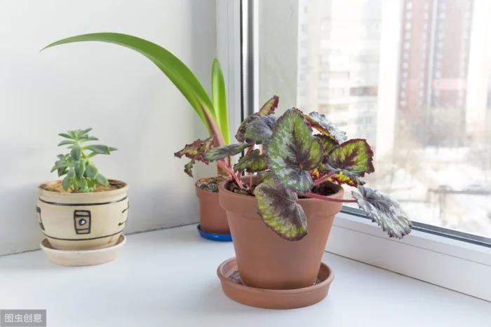 家里用不完的火柴不要丢,夏天家里用完的蚊香灰千万别扔了