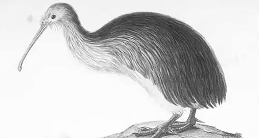 山海经是一本怎样的著作,千古奇书山海经解说