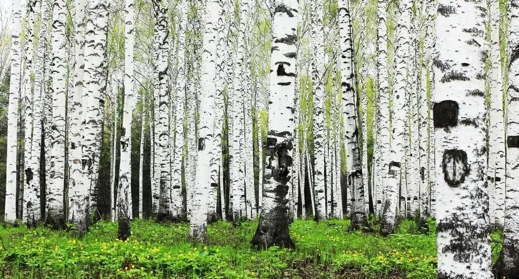 最高法:申请财产保全数额以满足申请*权人**利实现为目的与限度,合理超出诉求数额的不能认定存超标保全故意