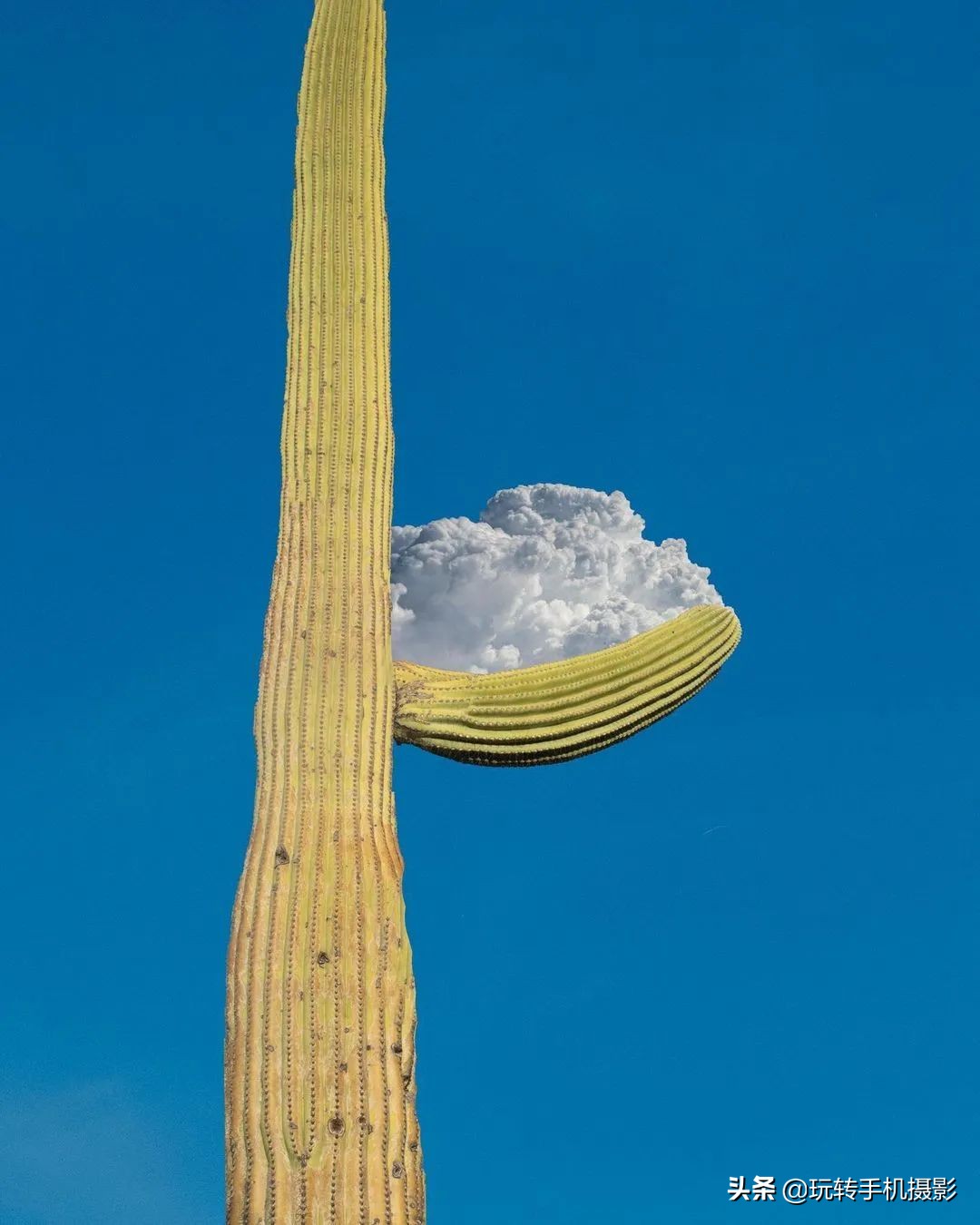 脑洞大开的创意照片古装,脑洞大开照片教程