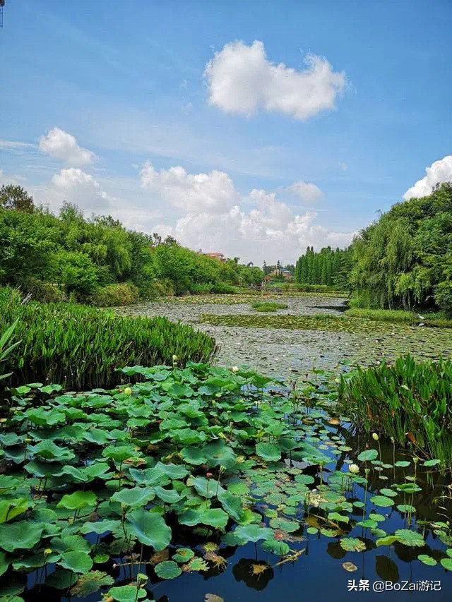 到云南玉溪旅游必去的10大景点，你去过几个？最爱哪个景点？