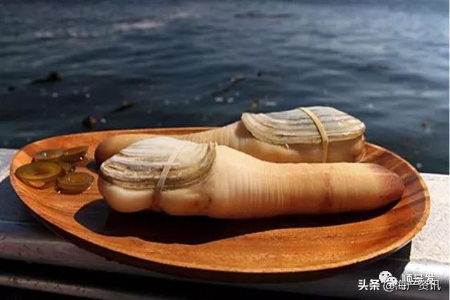 春节必买的海鲜,一年四季海鲜怎么选