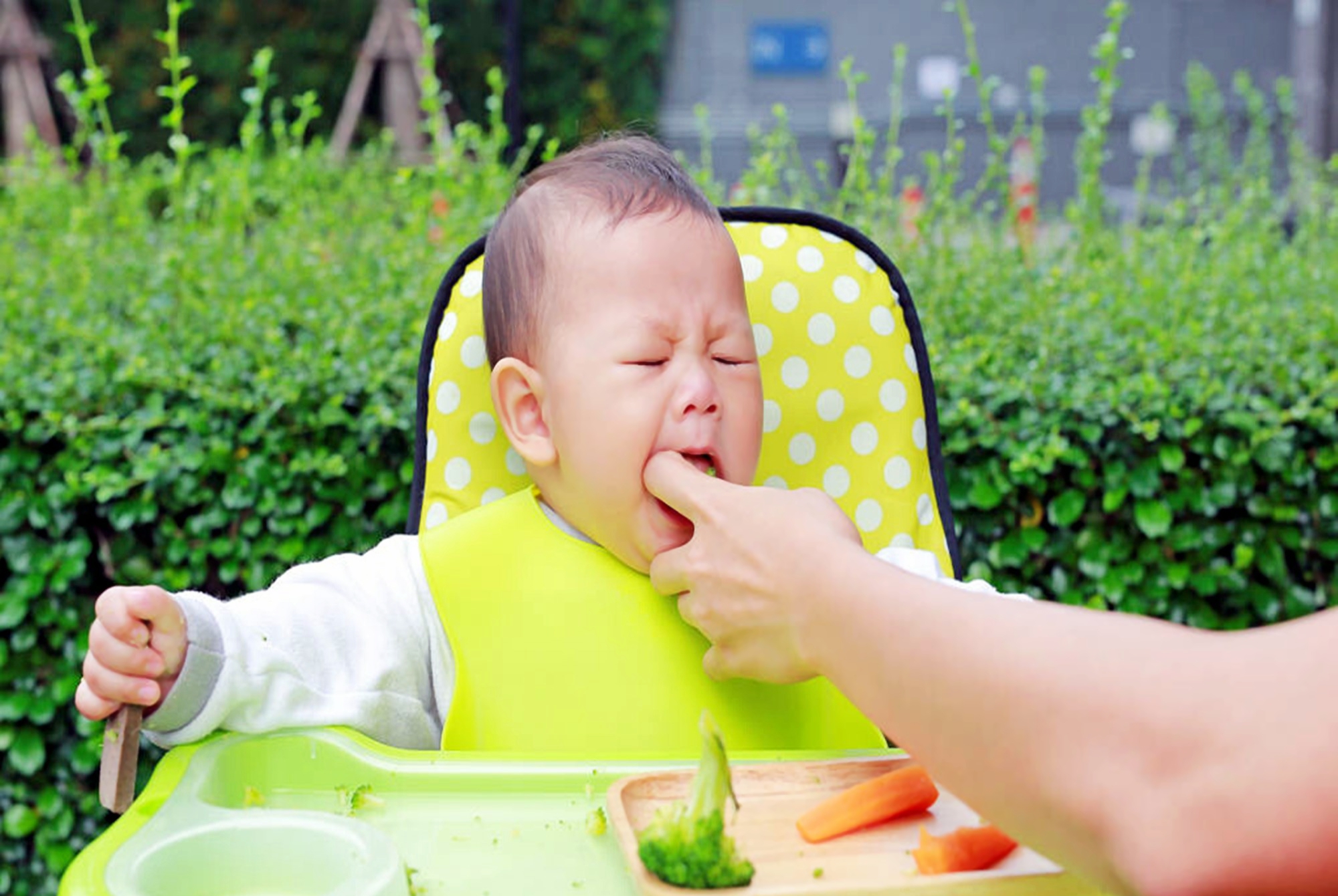 简单的早教项目,在家早教0-3岁早教推荐