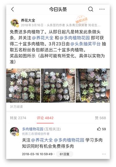 如何花200获得1w粉丝,养花种草怎么涨粉