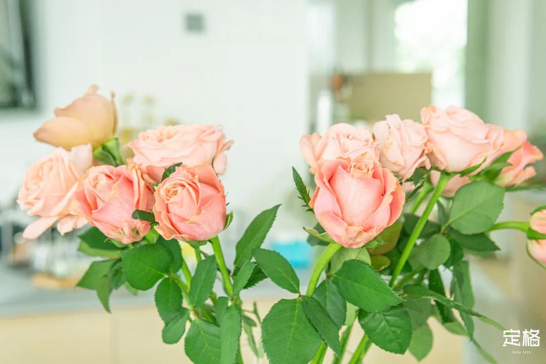 沙井万丰哪里的生蚝好吃,深圳沙井生蚝最出名店