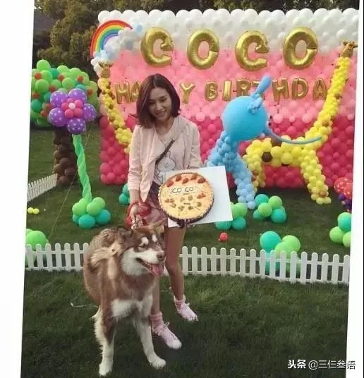 章若楠和王思聪在一起过吗,王思聪上热搜章若楠