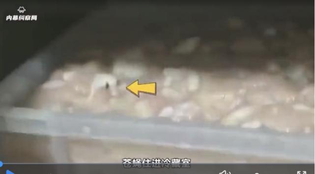 华莱士再曝“鸡肉里住苍蝇”，乡镇居民就活该吃“拉肚子套餐”？