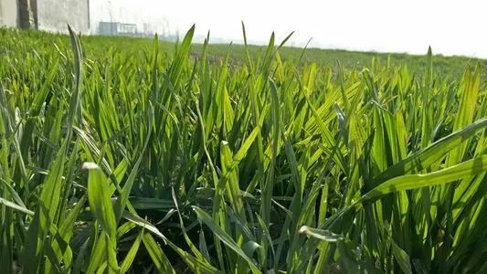 今年闰月双春年好不好,今年是双春闰年好不好