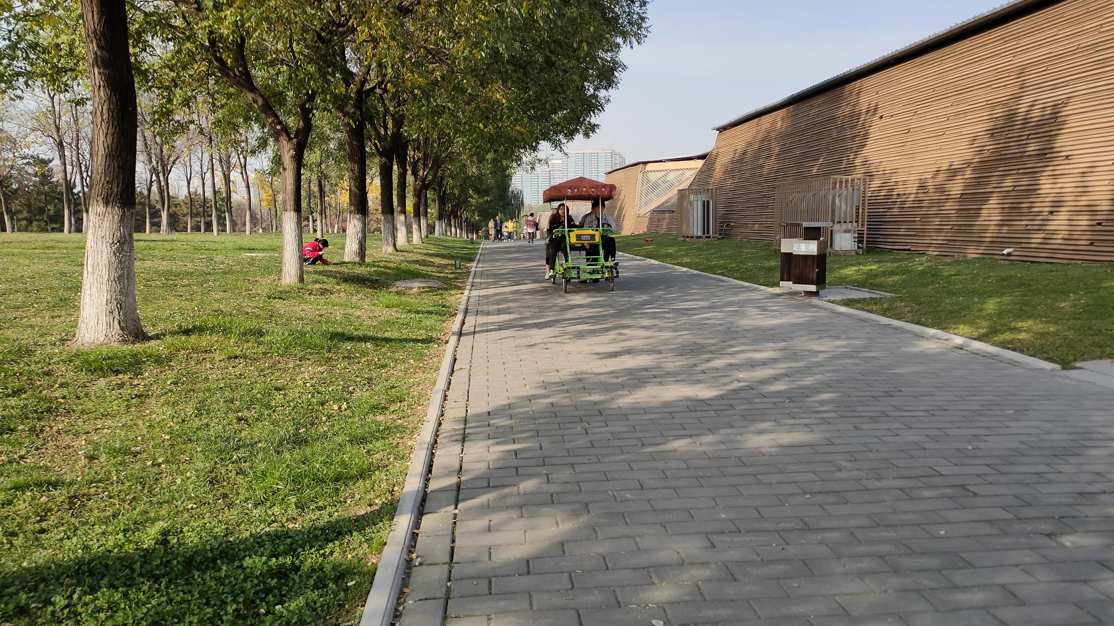 探寻西安大明宫国家遗址公园攻略,西安的大明宫遗址公园