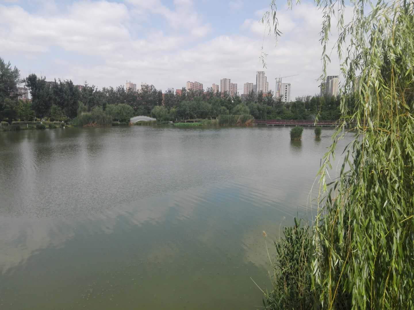 把城市建设成美丽花园,山东枣庄巨山街道东泰花园