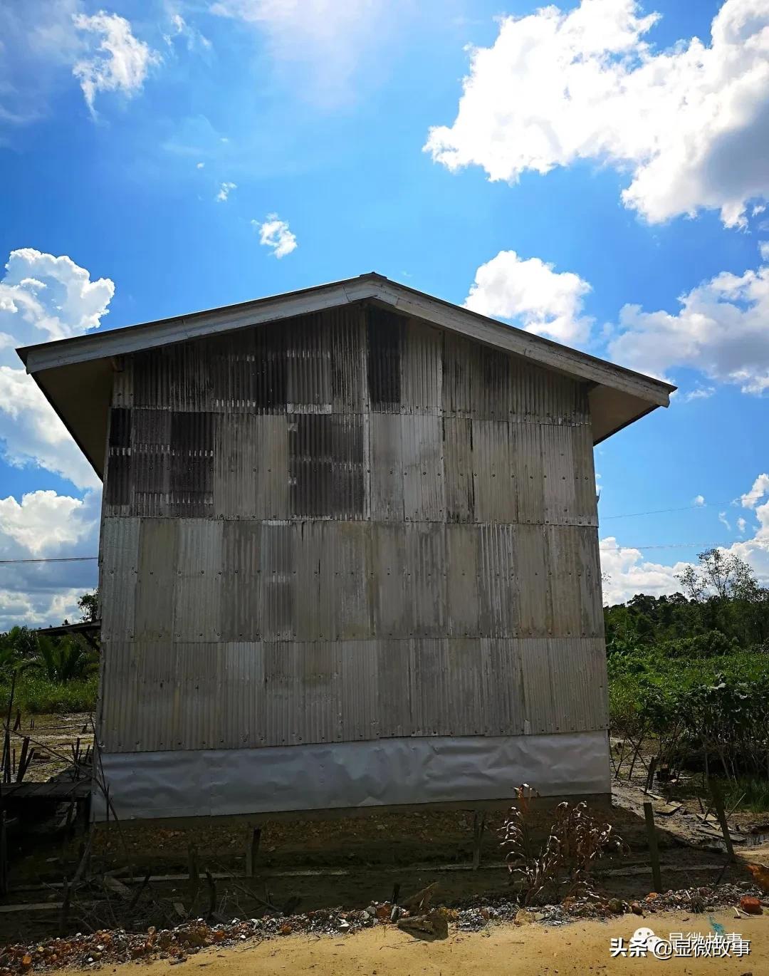 刷胶燕窝对身体伤害,刷胶燕窝的危害