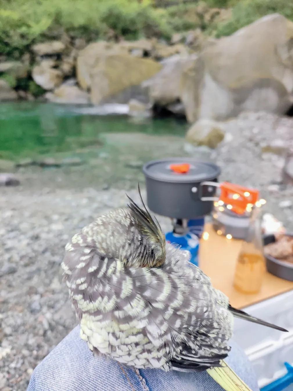 成都周边凉快又可以耍水的地方,成都周边哪有耍水的地方