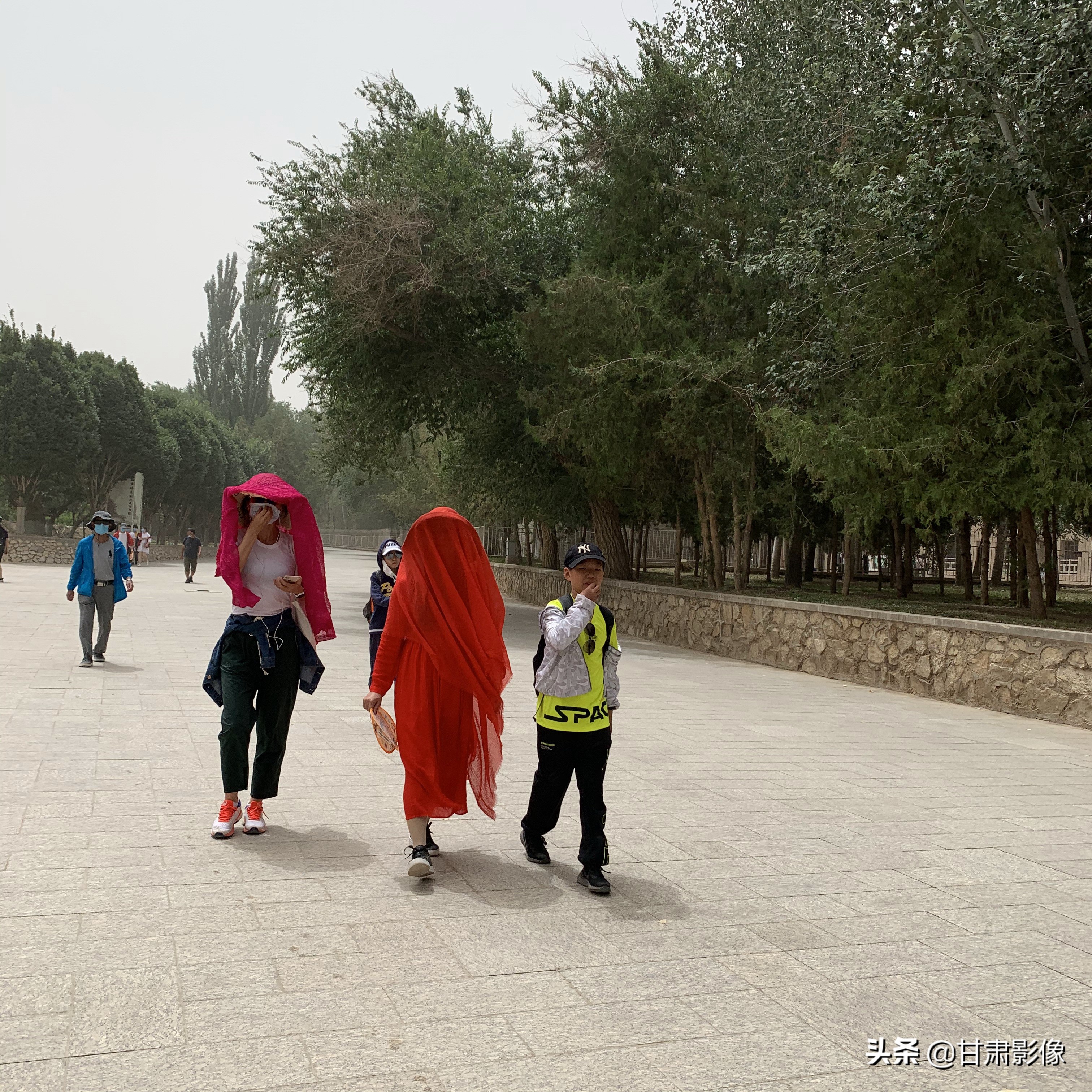 告别2021年的夏天手机摄影,简单手机摄影2020不平凡的一年