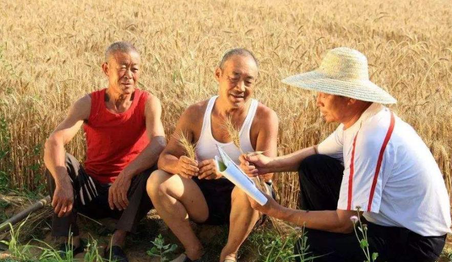 三伏是什么寓意,一年中有两中伏什么意思