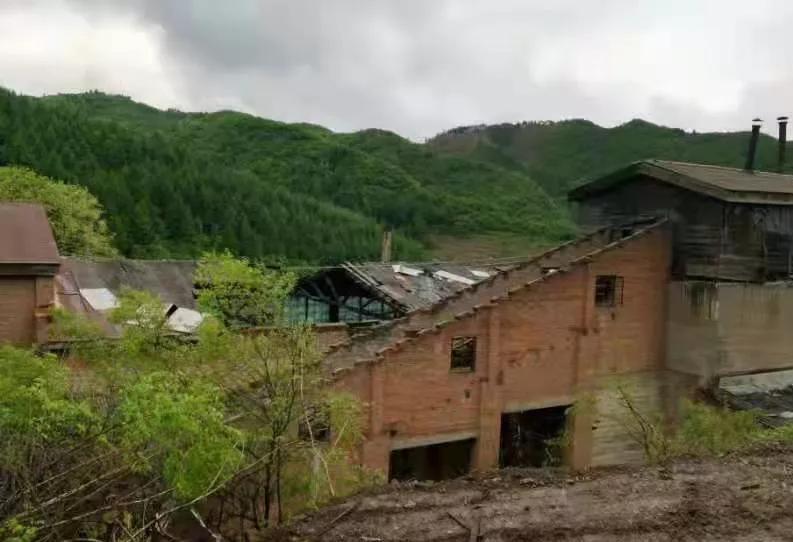 “金隆矿业未来已来”恒邦矿业环境修复进行时